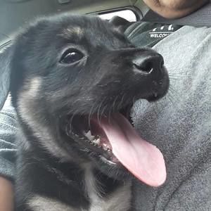 Meet your Posher, Nikki